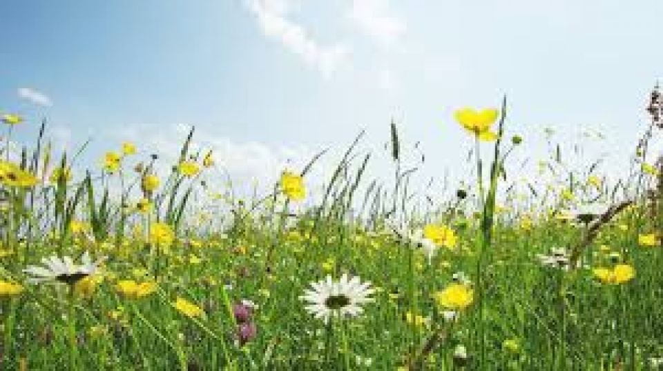 Glad sommar!